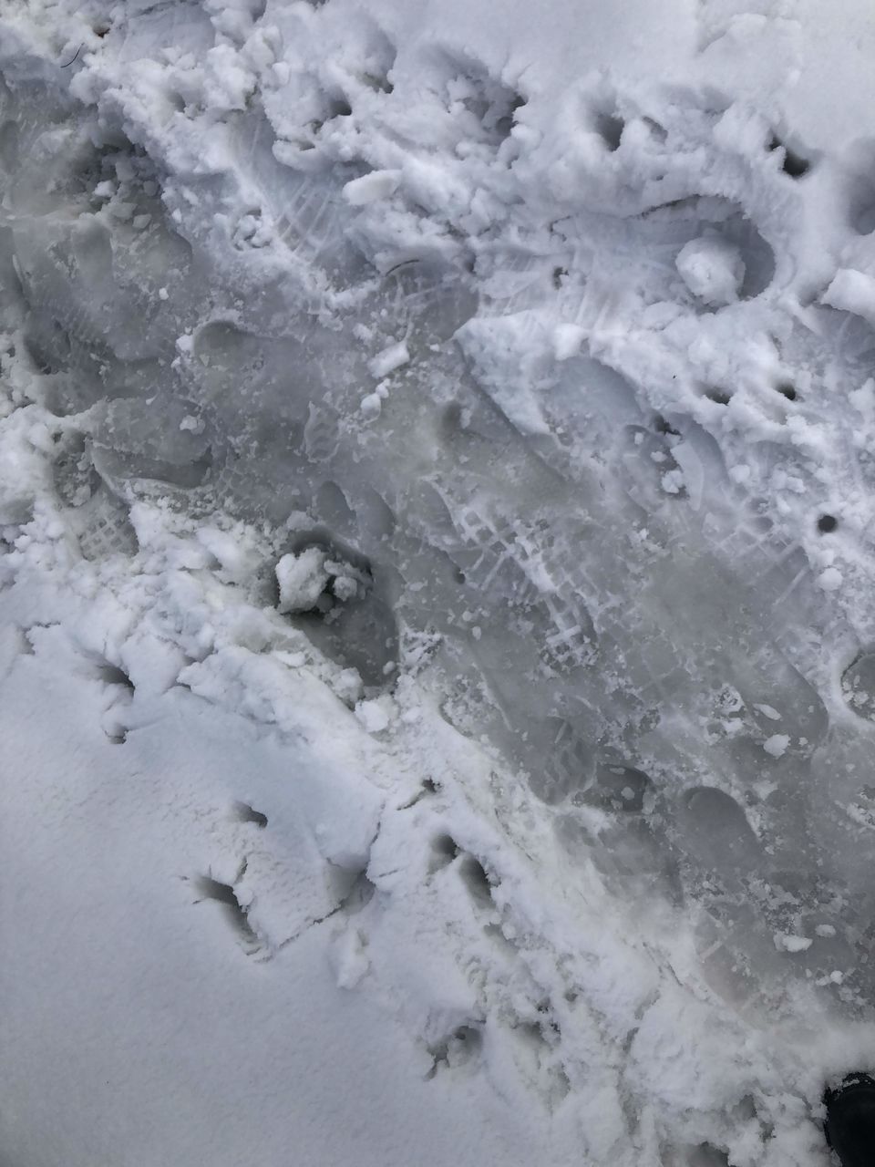 Photo of My first ever snow trek - Fighting my phobia #photosofsnow 15/16 by Penning Silly Thoughts