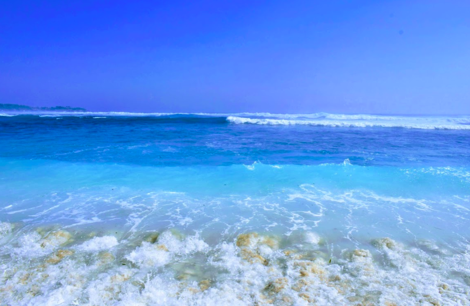 Photo of Volunteering - an added experience to my Bali travels! #bestof2018 1/17 by Penning Silly Thoughts