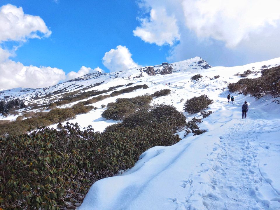 Photo of Tungnath, Rudraprayag, Uttarakhand, India by Ajita Mahajan