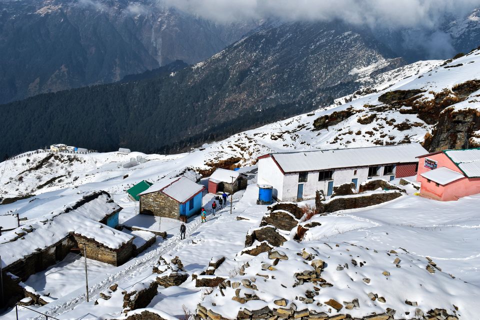 Photo of Chopta - Explore the Unspoiled Land of Uttrakhand #offbeatuttarakhand by Ajita Mahajan