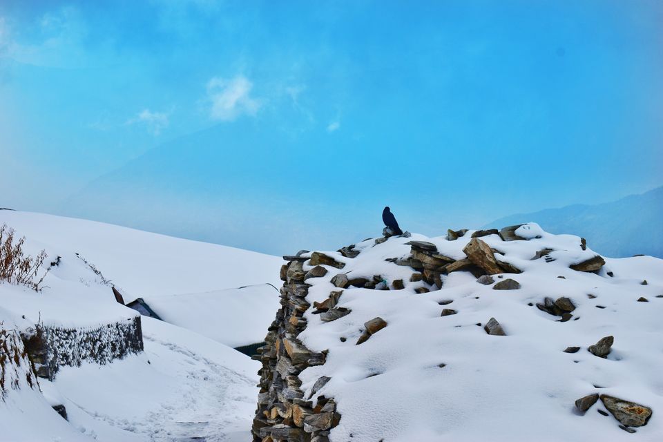 Photo of Chopta - Explore the Unspoiled Land of Uttrakhand #offbeatuttarakhand by Ajita Mahajan