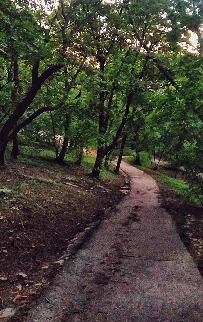 Photo of Budapest, Gellért Hill, Hungary by Ajita Mahajan