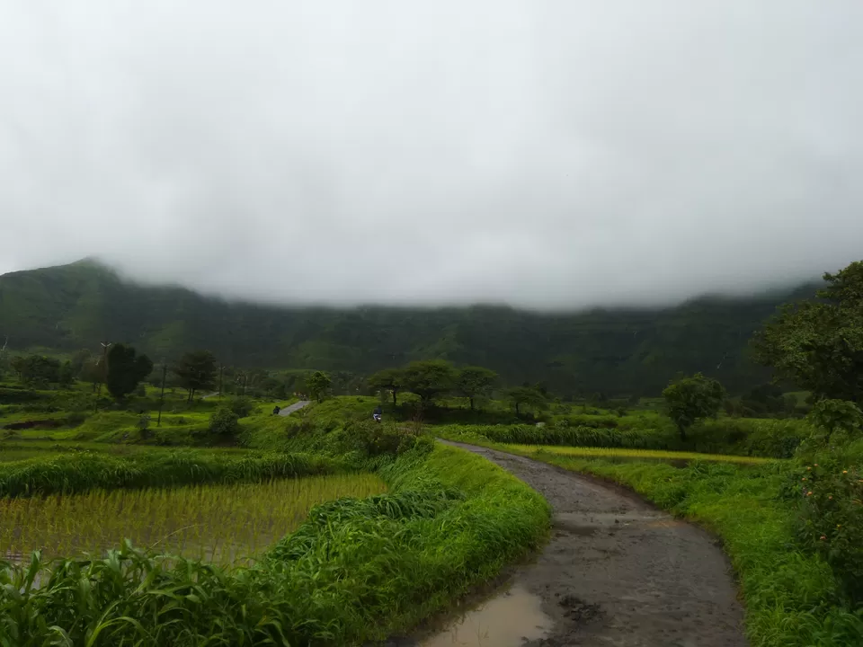 Photo of One day trek to Rohida / Vichitragad fort - Trekking place near Pune by Rohitkumar Thakur