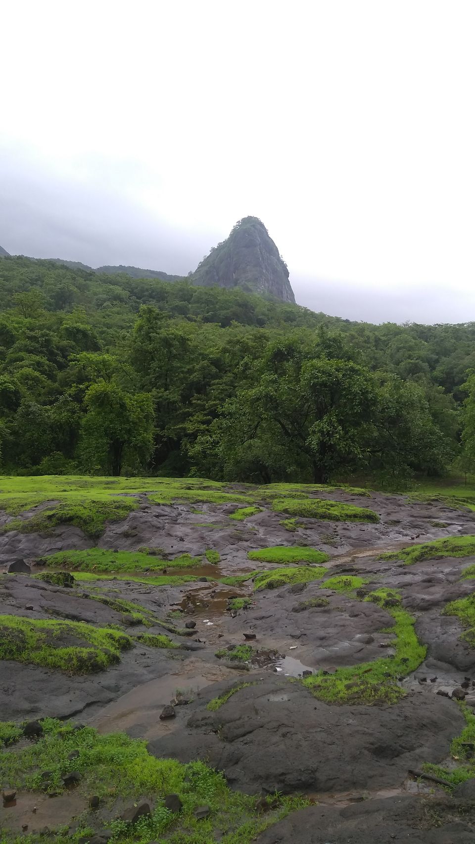 Photo of Trek to Devkund waterfall - Best waterfall near pune / Mumbai by Rohitkumar Thakur