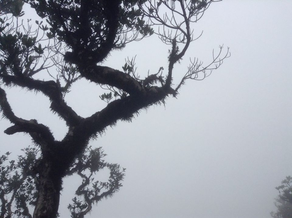 Photo of Kumaraparvata Trek 12/14 by Suneeth Sonu