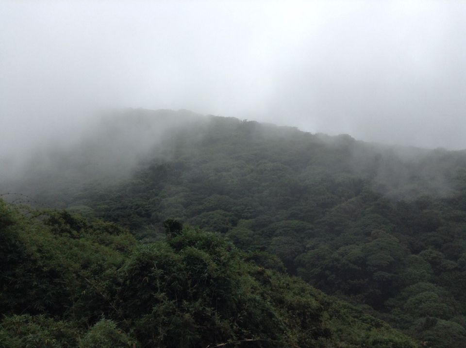 Photo of Kumaraparvata Trek 11/14 by Suneeth Sonu