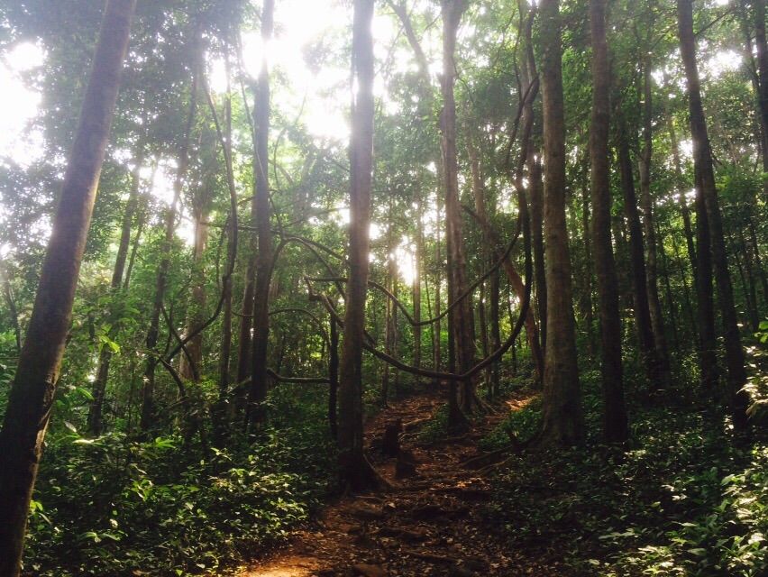 Photo of Kumaraparvata Trek 4/14 by Suneeth Sonu