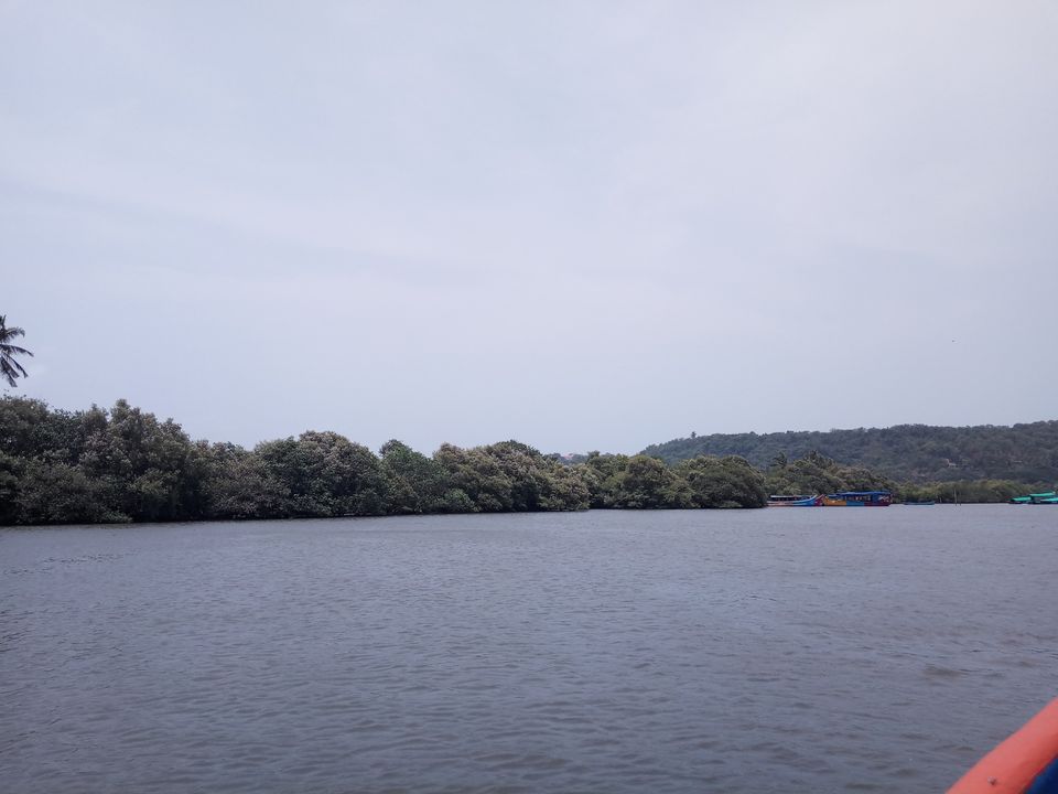 Photo of Party capital of India : Goa it is by shruti kabra