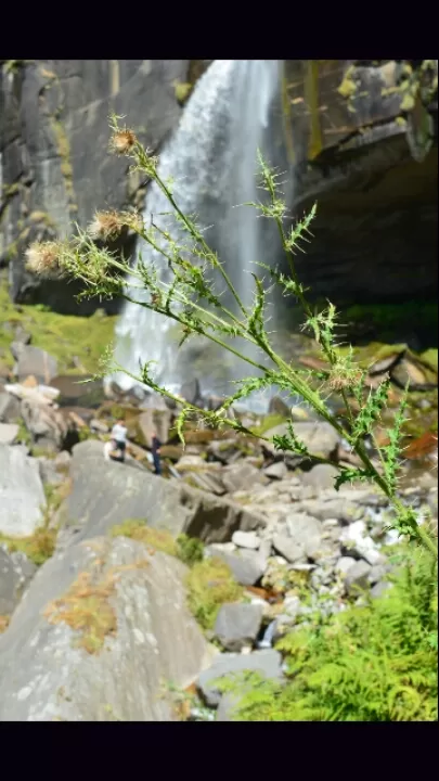 Photo of Kheer Ganga Hot Water Spring, Khir Ganga, India by Sanjeev Kumar