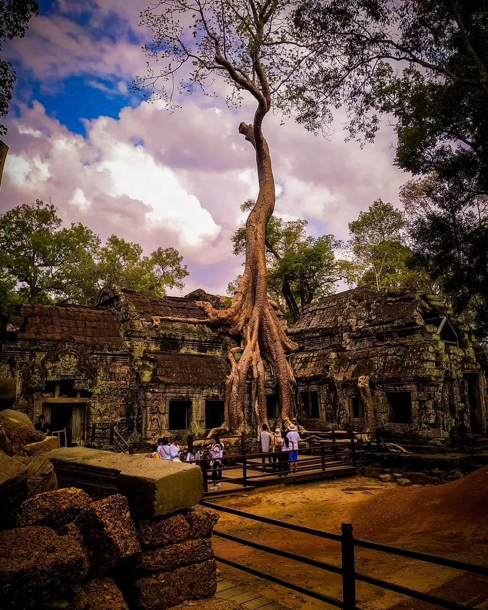 Photo of Ta Prohm Temple By The Paryatak