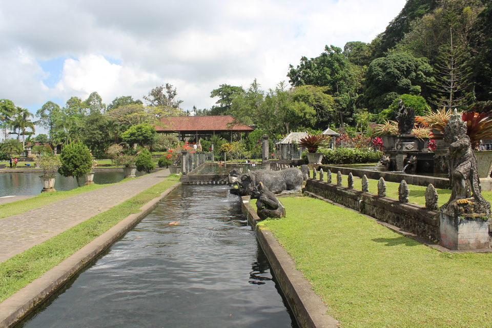 Photo of Bali: A mesmerising journey to a surreal island!!! 14/35 by Anurag Modi