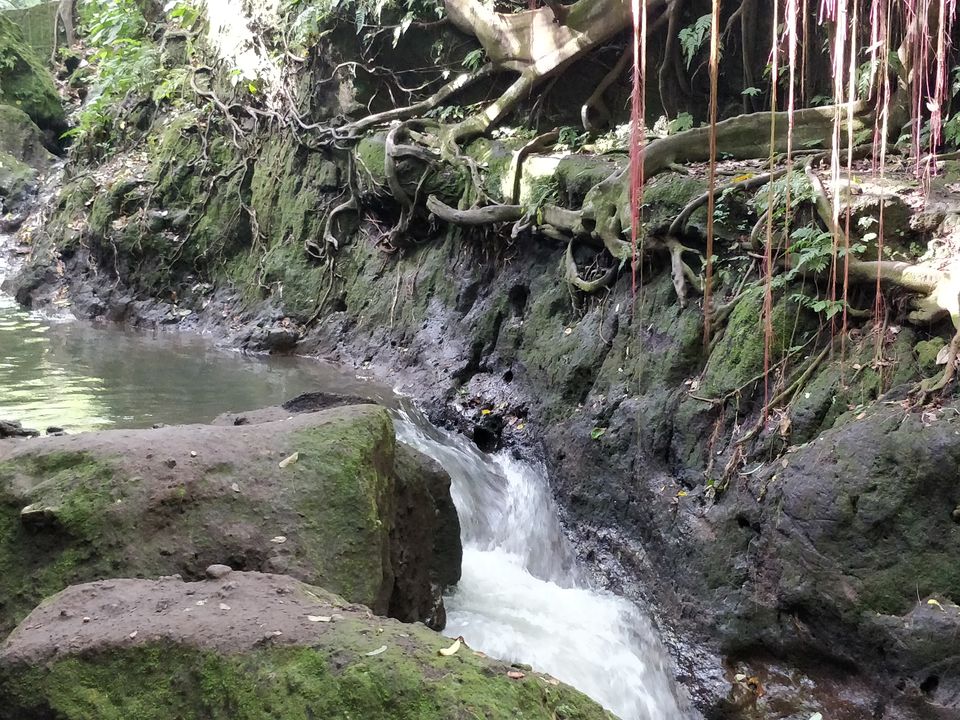 Photo of Bali: A mesmerising journey to a surreal island!!! 31/35 by Anurag Modi