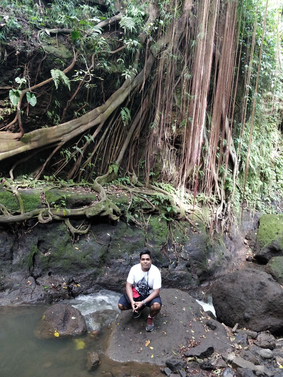 Photo of Bali: A mesmerising journey to a surreal island!!! 32/35 by Anurag Modi