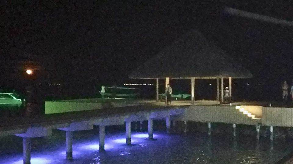 Photo of Maldives and Munnar! An enchanting trip to the Beach and the Hill!! by Anurag Modi