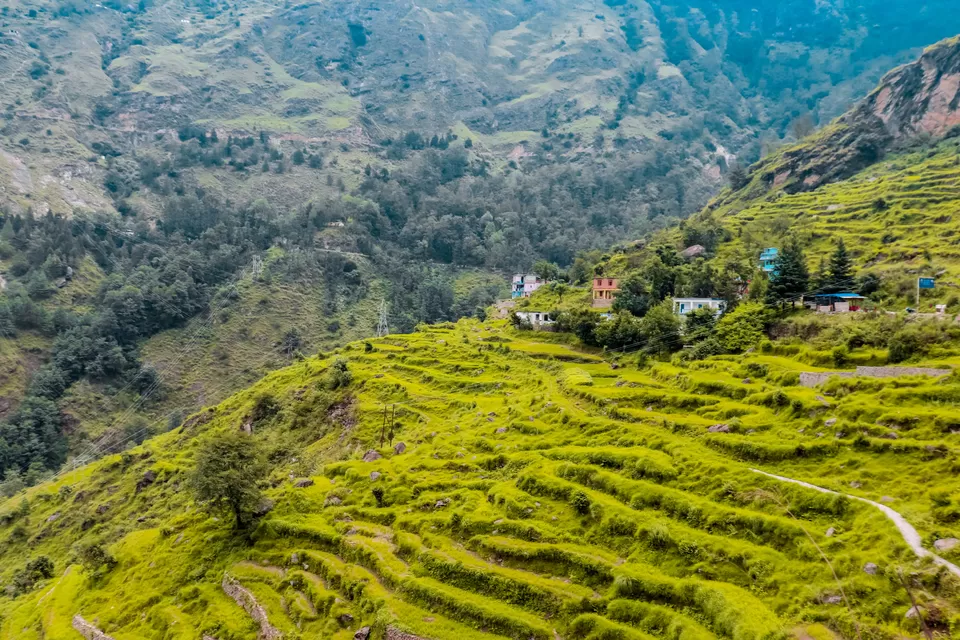 Photo of Joshimath, Uttarakhand, India by Palak Negi