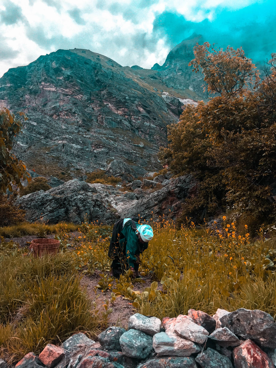 Photo of A Motorable Heaven, Badrinath, Uttarakhand by Palak Negi