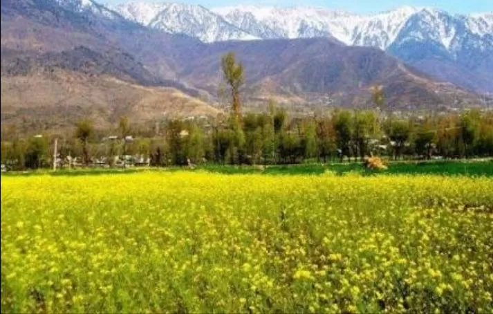 Photo of The heaven valley by Deep Das