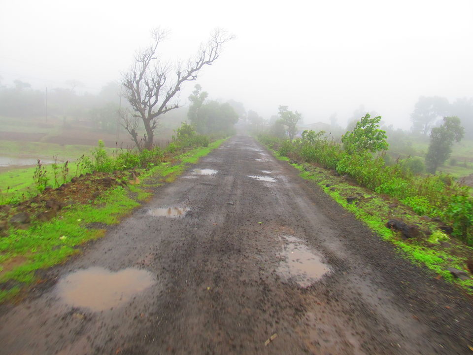 Photo of Fireflies, Camping & Bhandardara Exploration 1/27 by Kiran