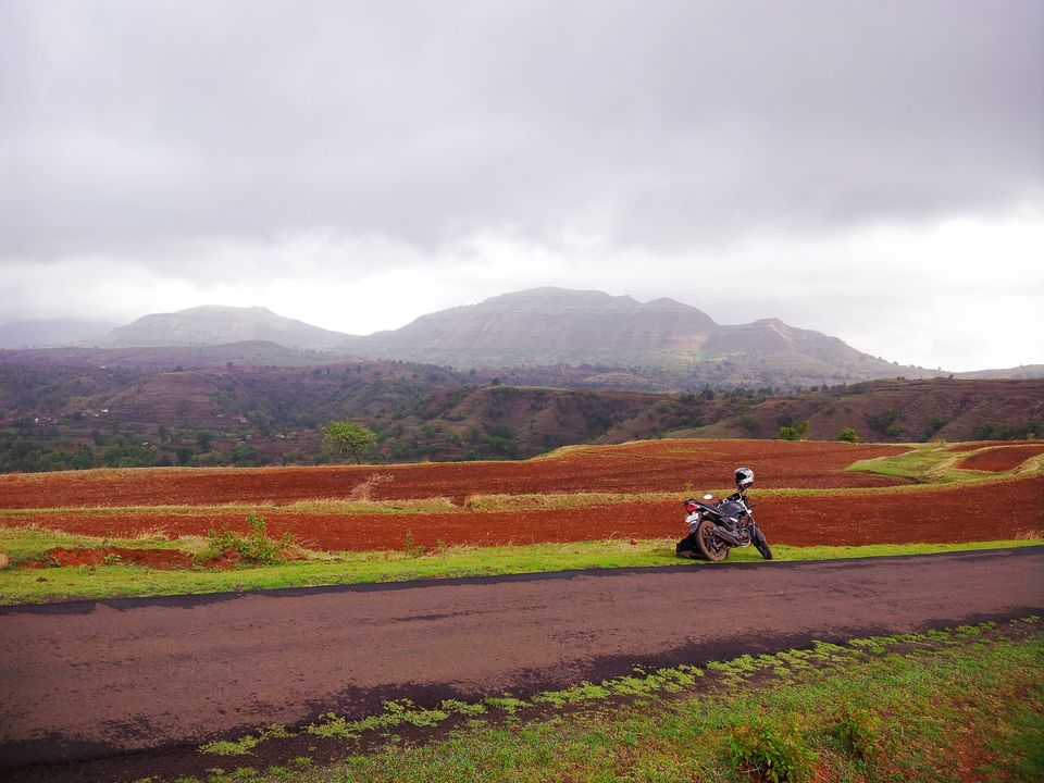 Photo of Fireflies, Camping & Bhandardara Exploration 2/27 by Kiran