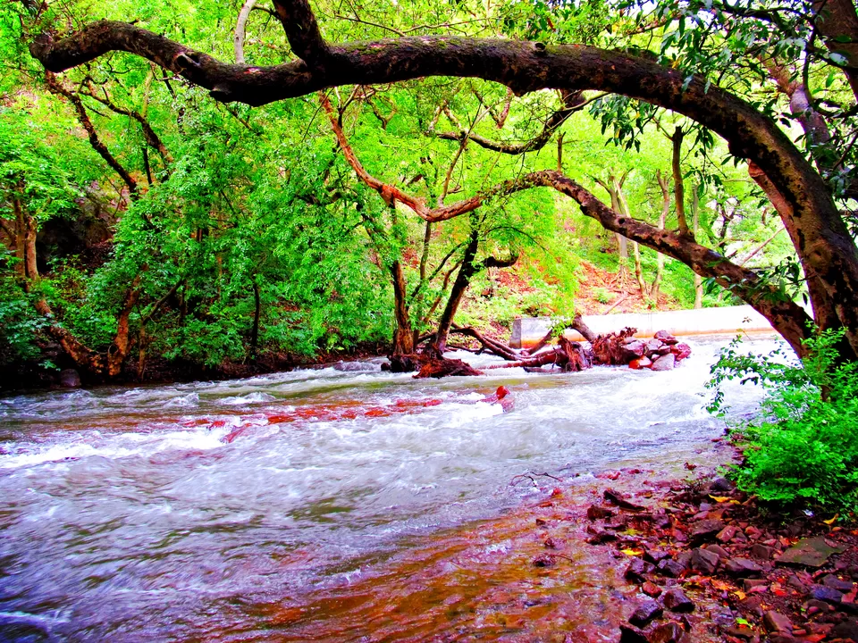 Photo of umbrella falls, Bhandardhara, Bhandardhara, Wilson Dam,Ratangad to Rd,, Rajur, Maharashtra, India by Kiran