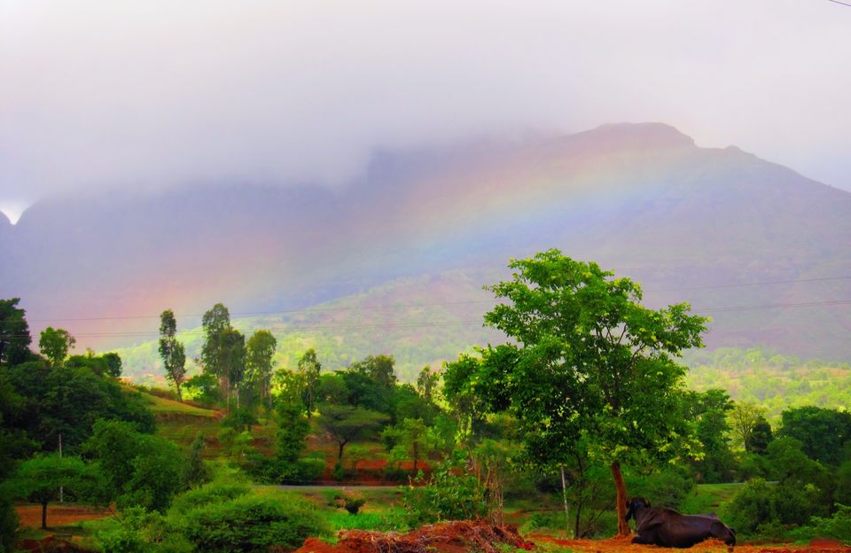 Photo of Fireflies, Camping & Bhandardara Exploration 7/27 by Kiran