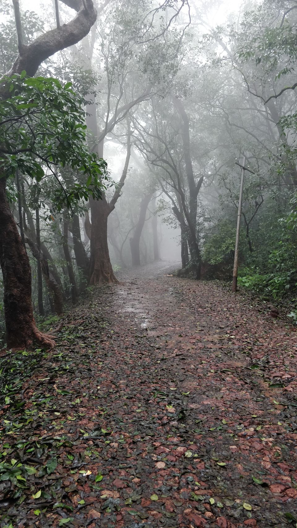 Photo of Matheran, Maharashtra, India by Abhishek Bhambhu