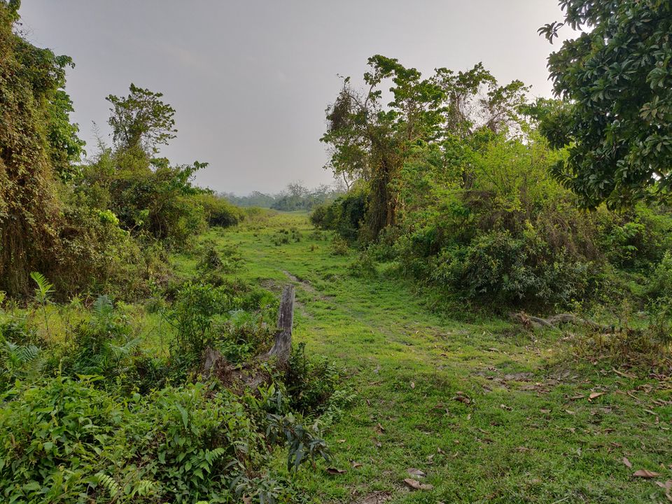 Photo of Why You Should Prefer Safari at Eastern Range of Kaziranga over others by Vipul Khattar