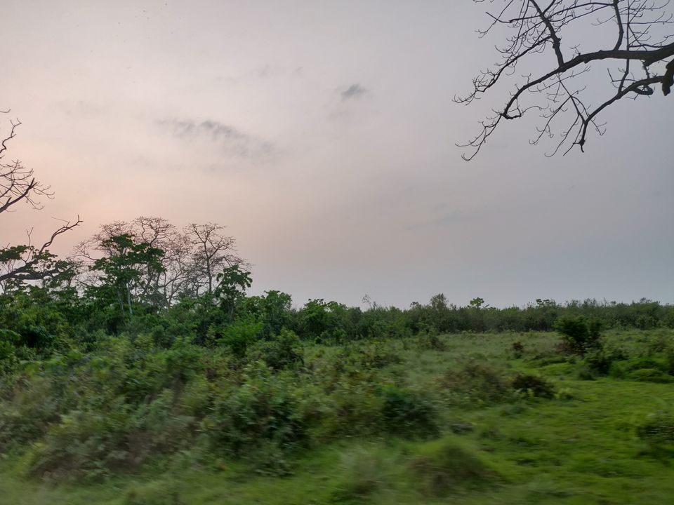 Photo of Why You Should Prefer Safari at Eastern Range of Kaziranga over others by Vipul Khattar