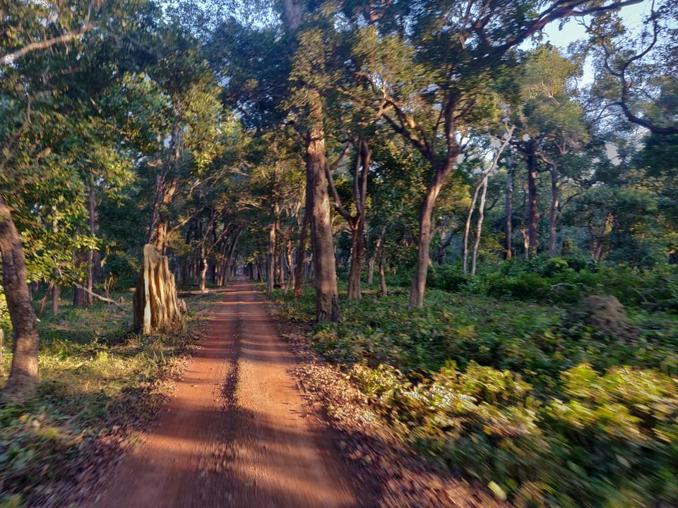 Dudhwa National Park from Lucknow - Tripoto