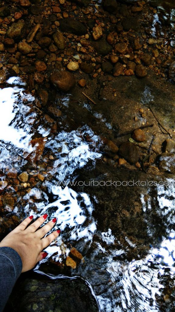 Photo of A day at a tropical wonderland – Athirapally Waterfalls Kerala 6/9 by Our Backpack Tales