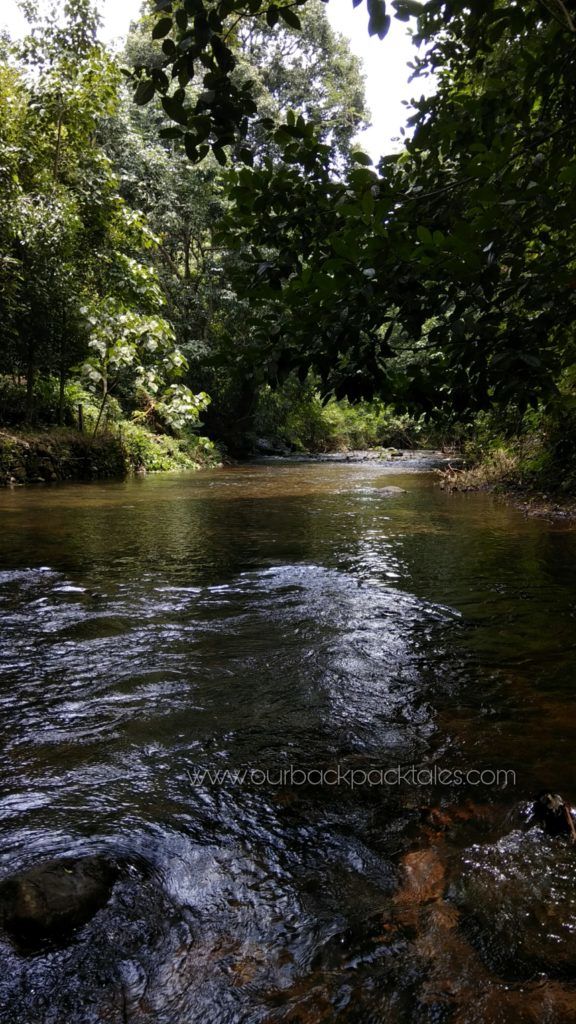 Photo of A day at a tropical wonderland – Athirapally Waterfalls Kerala 7/9 by Our Backpack Tales