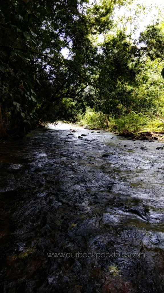 Photo of A day at a tropical wonderland – Athirapally Waterfalls Kerala 9/9 by Our Backpack Tales