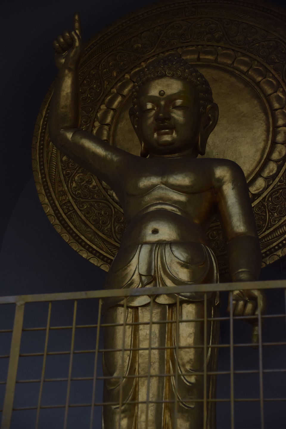 Photo of VISWA SHANTI STUPA by Ajinkya Dhabarde