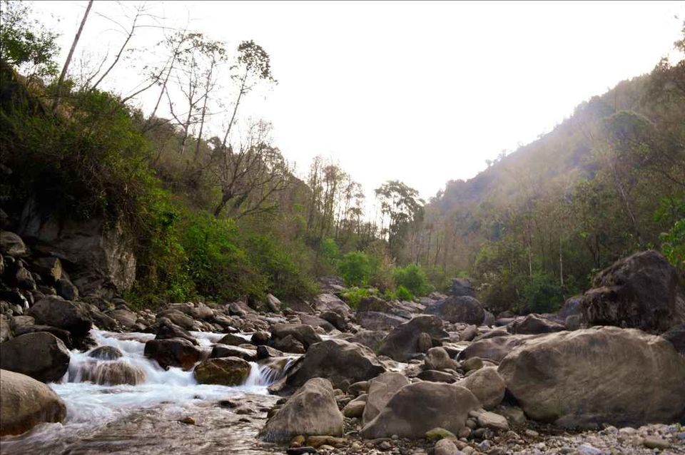 Photo of Rongli, Sikkim, India by Sourajit Chowdhury