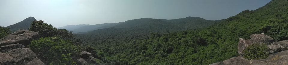 Photo of Nowhere else Nilgiri Hills by Sourajit Chowdhury