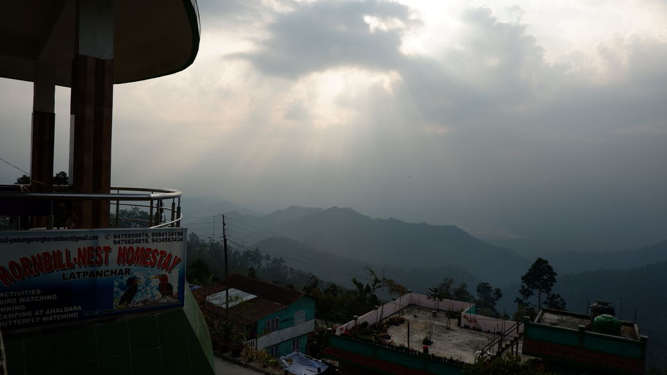 Photo of Latpanchar Hornbillnest Homestay, latpanchar, West Bengal, India by Sourajit Chowdhury