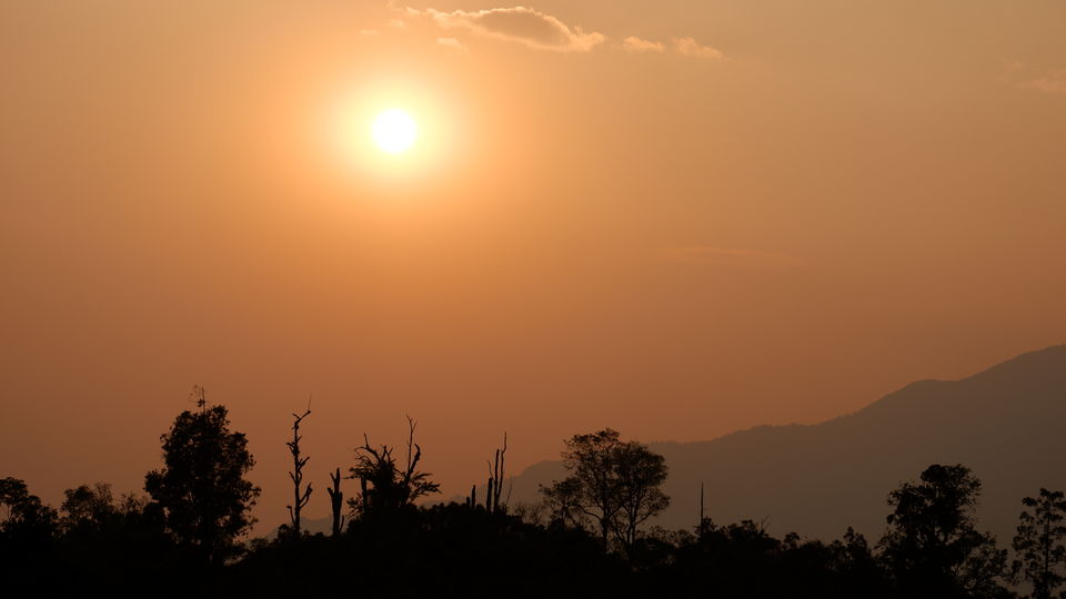 Photo of Mahananda Wildlife Sanctuary, Sukna, West Bengal, India by Sourajit Chowdhury