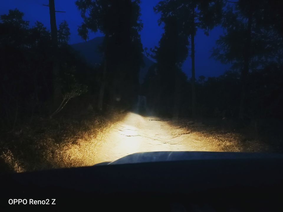 Photo of Mahananda Wildlife Sanctuary, Sukna, West Bengal, India by Sourajit Chowdhury