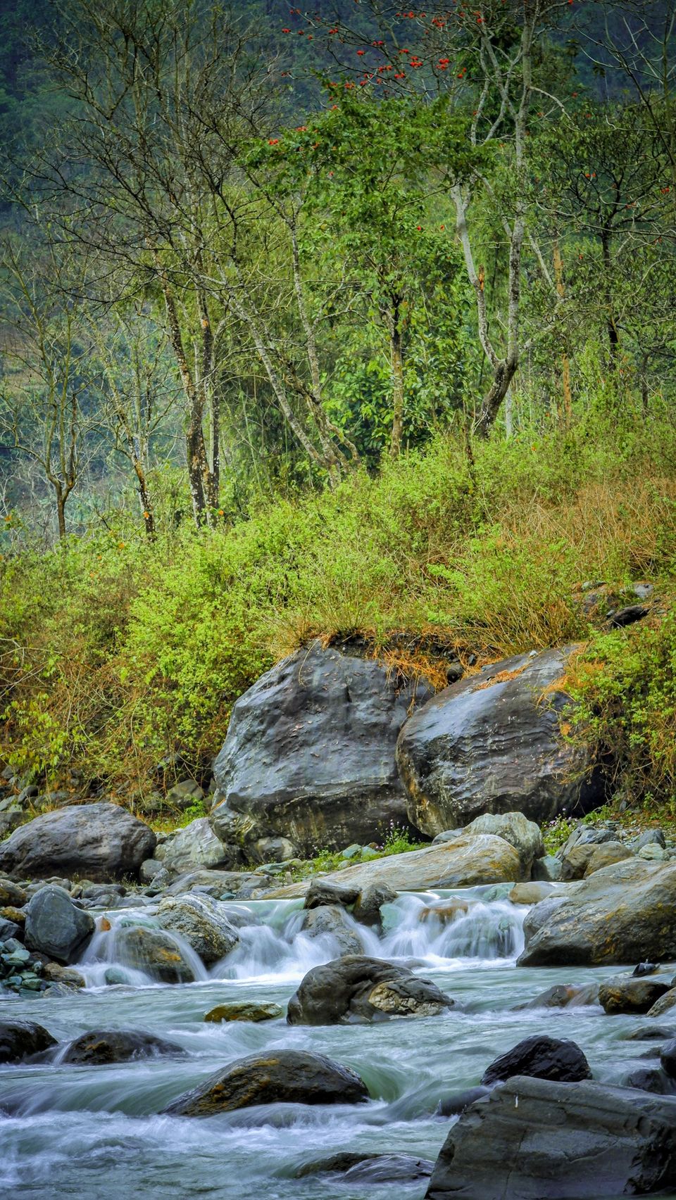 Photo of Shivakhola Adventure Camp, Sittong, West Bengal, India by Sourajit Chowdhury