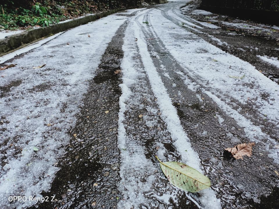 Photo of Dowhill Deer Park, Unnamed, Kurseong, West Bengal, India by Sourajit Chowdhury