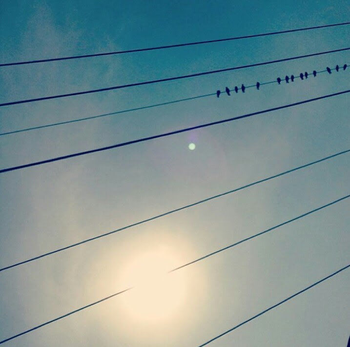 Photo of Udaipur, Rajasthan, India by Megha Doshi