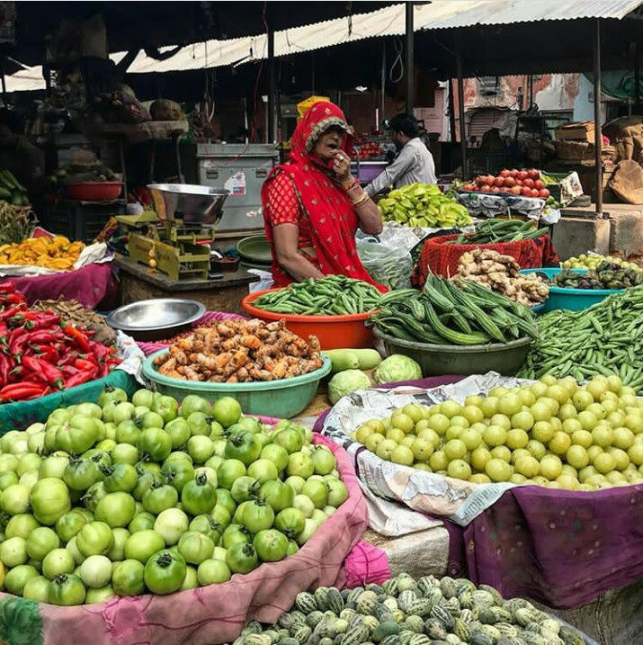 Photo of Udaipur, Rajasthan, India by Megha Doshi