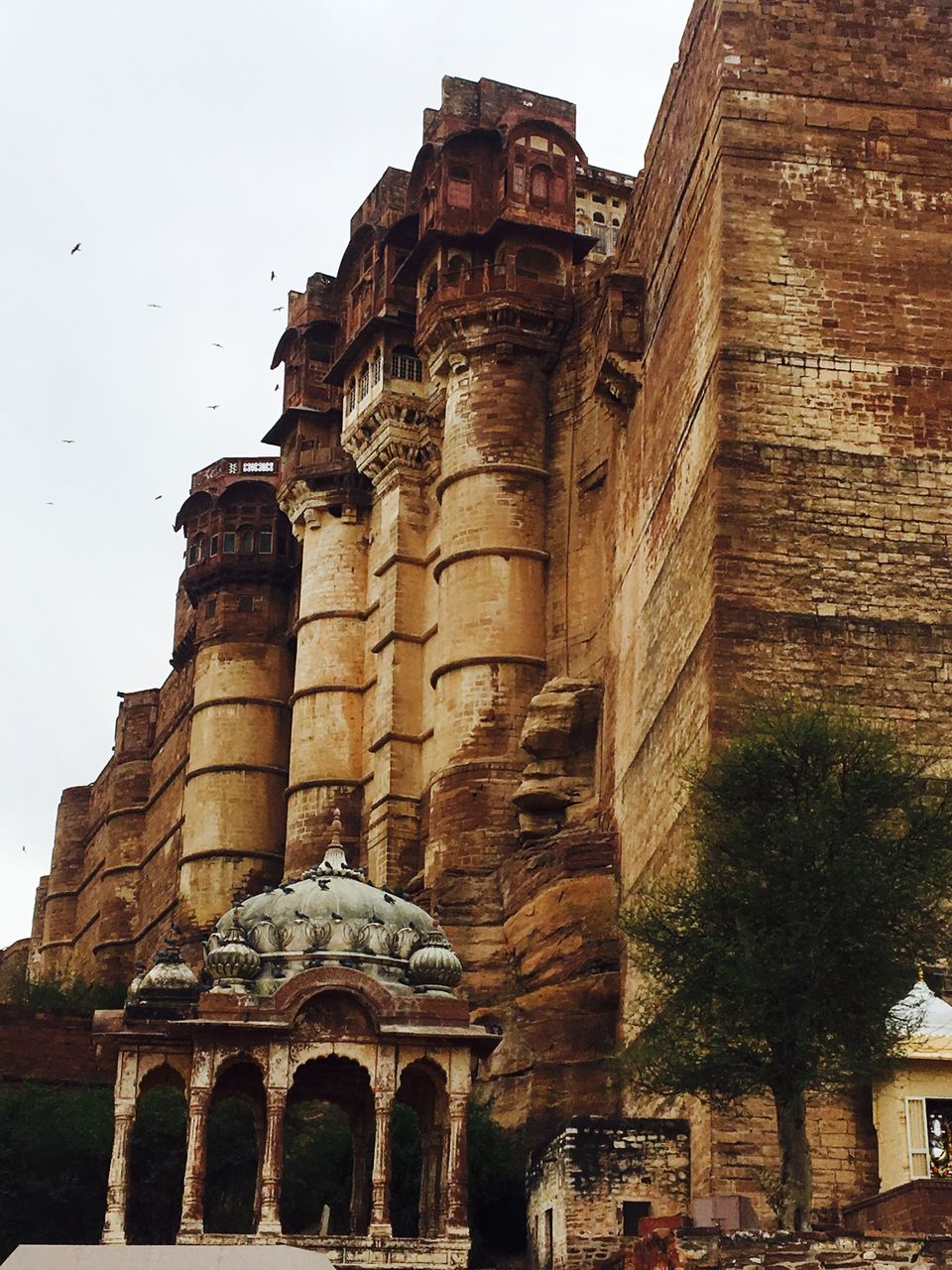 Photo of Jodhpur, Rajasthan, India by Megha Doshi