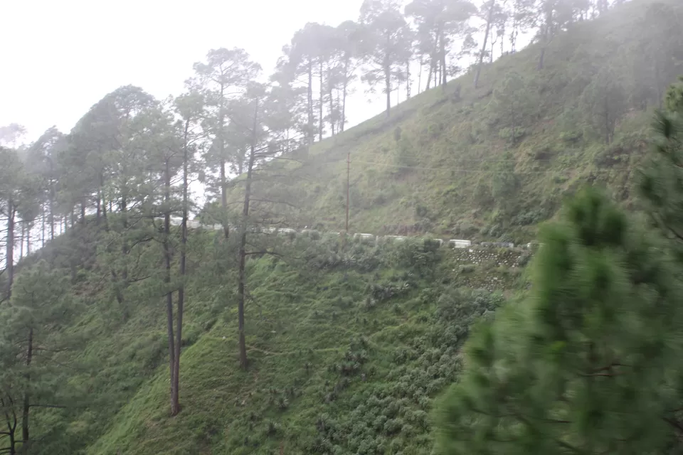 Photo of Nainital, Nainital, Uttarakhand, India by Vishal Tangirala