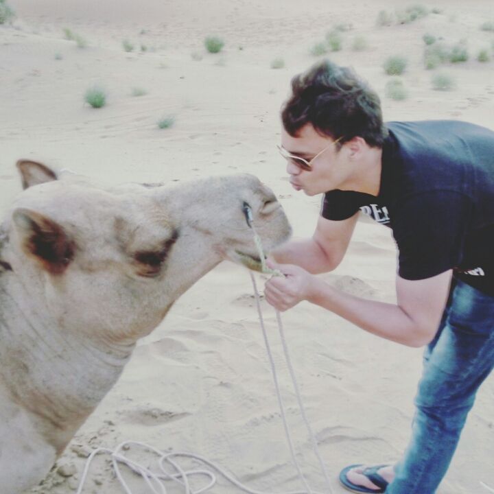 Photo of It's time for Thar desert (Jaisalmer)..!! Non stop 2025 kms from Gurgaon to Jaisalmer and back..!! by Subodh bisht