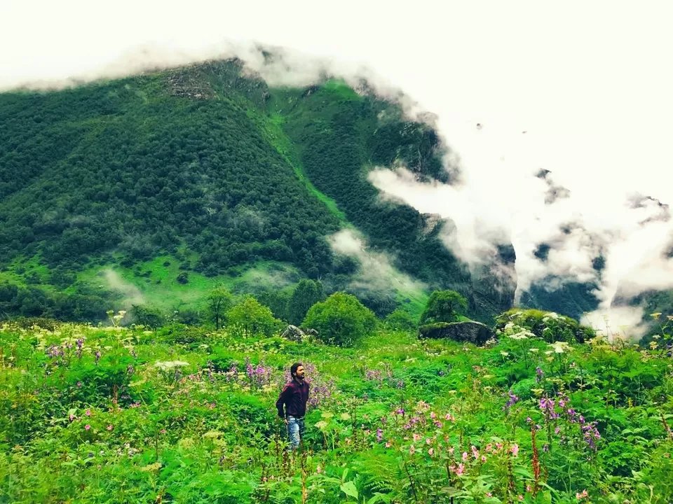 Photo of Valley of Flowers National Park, Uttarakhand, India by Sandeep Kumar Bhagat