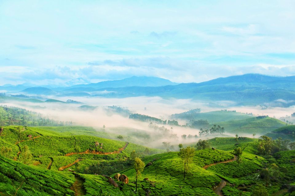 Photo of Trip to Munnar: Neelakurinji and more #westernghatsinphotos #bestof2018 by Amulya Mandava
