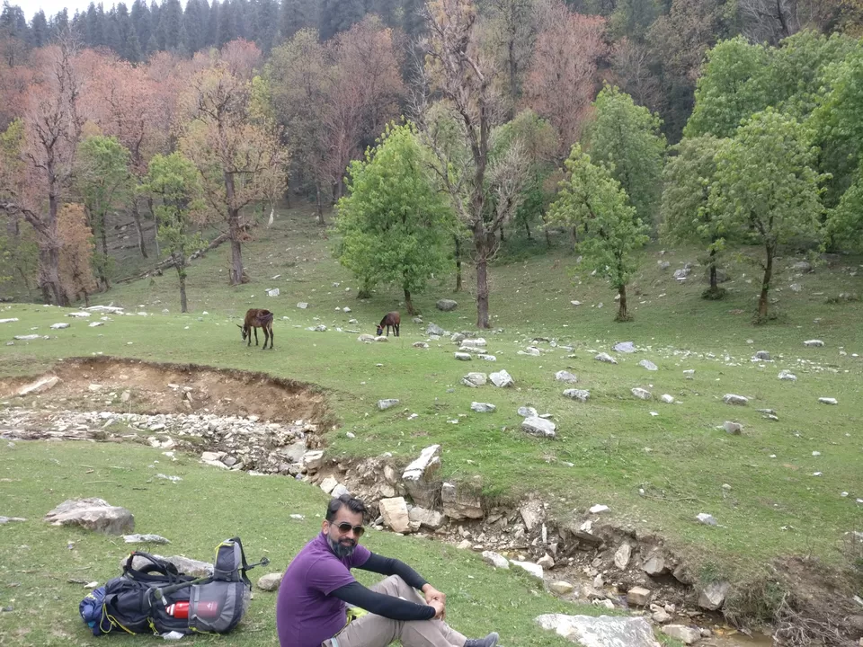 Photo of Kedarkanta - my first trek by Sharad Pandey