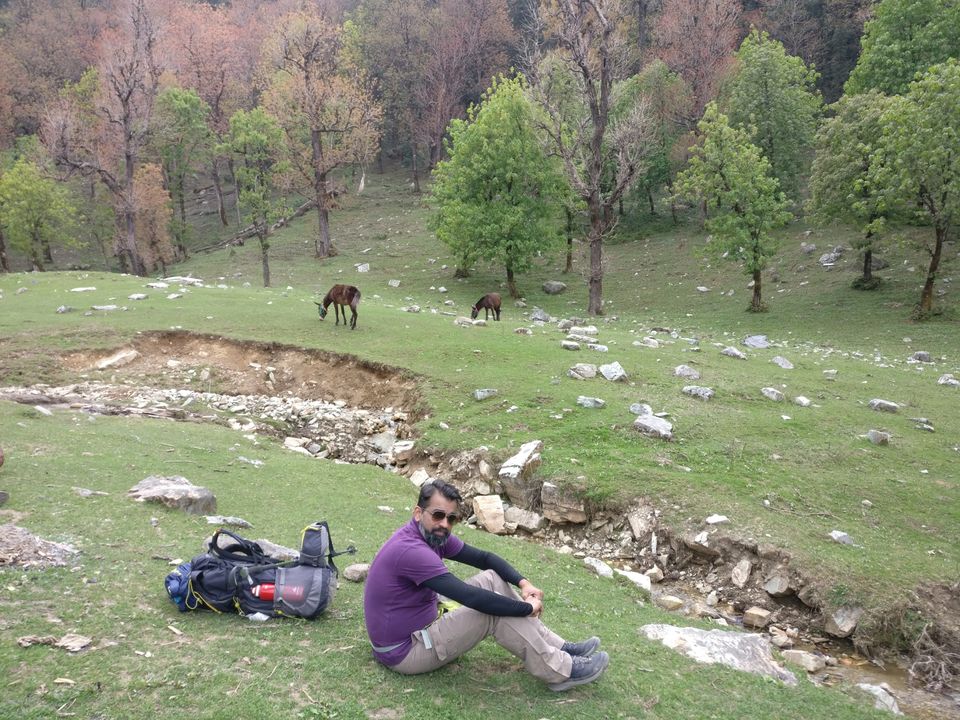 Photo of Kedarkanta - my first trek by Sharad Pandey