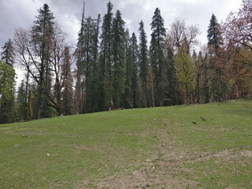 Photo of Kedarkanta - my first trek by Sharad Pandey